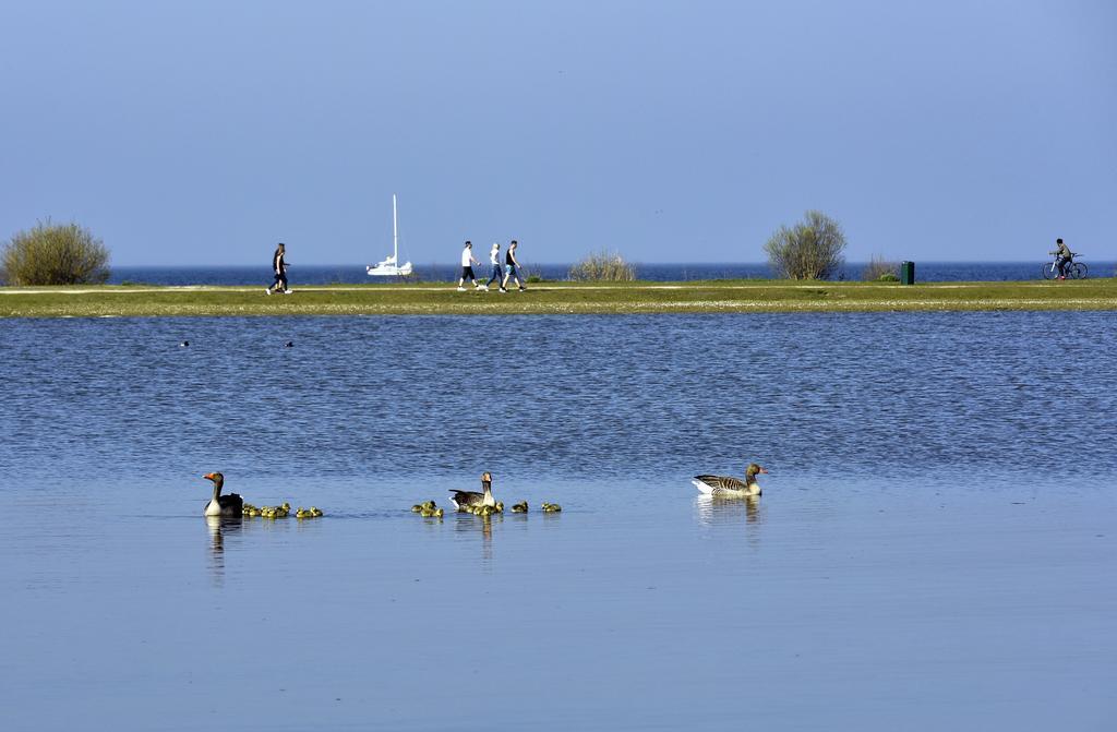 Ijsselhof Villa Type Medemblik 6 Andijk Luaran gambar